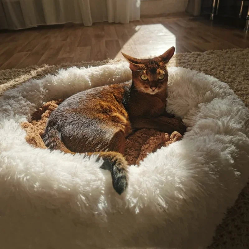 Super Soft Plush Dog Bed: Round Cushion for Large Dogs and Cats