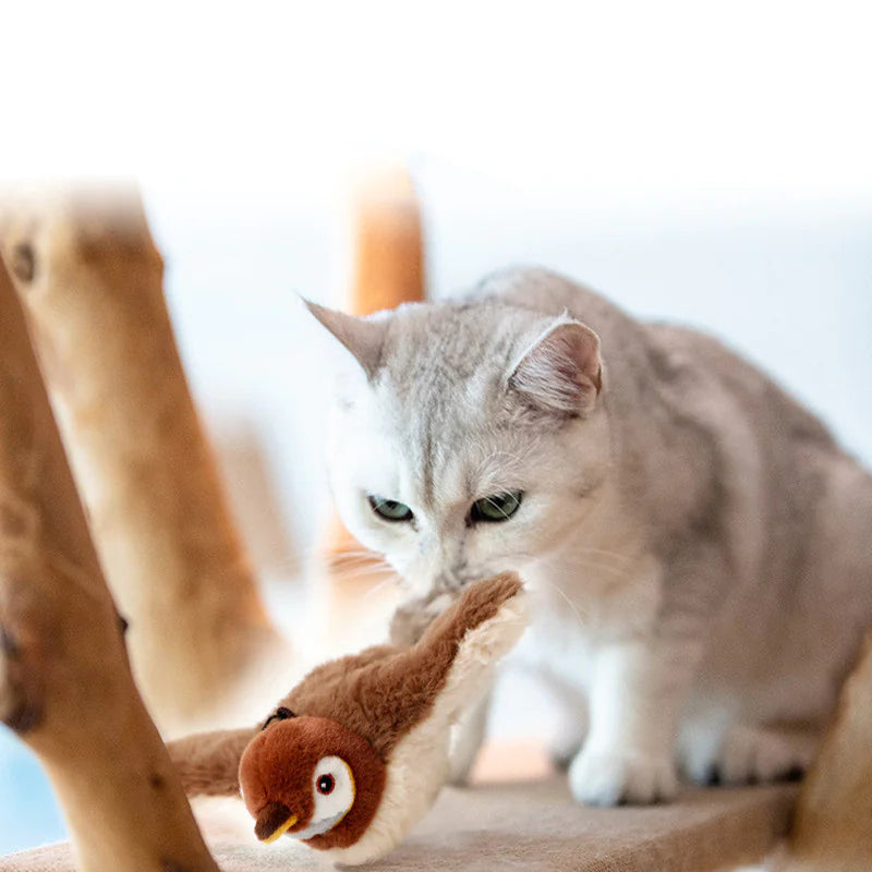 Rechargeable Touch-Activated Cat Toy with Catnip