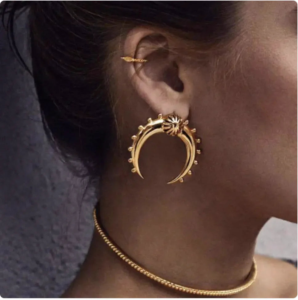 Stunning Crescent Moon Drop Earrings