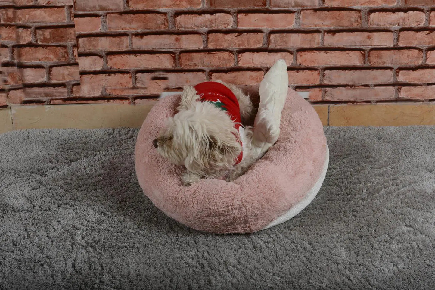 Cookie Pet Sherpa Fleece Washable Round Dog Cat Bed, 50 Cm, Light Powder