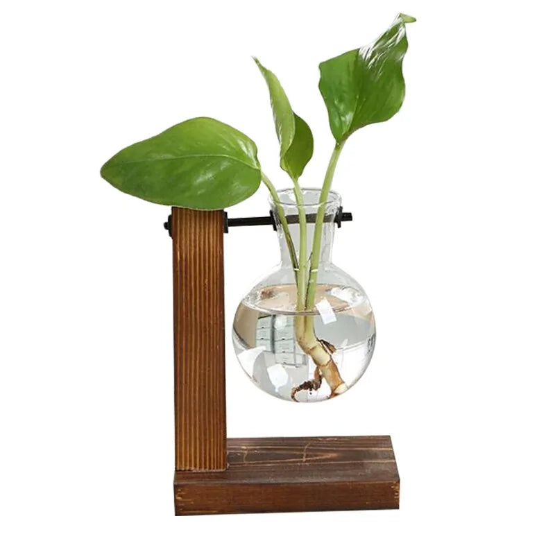 Terrarium Hydroponic Plant Vases